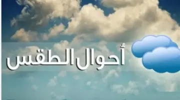 طقس الإثنين 8 يونيو 2026: شبورة مائية صباحًا ورياح مثيرة للأتربة أحيانًا